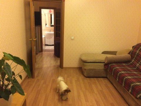 2-к квартира, 2/5 эт., 43м²