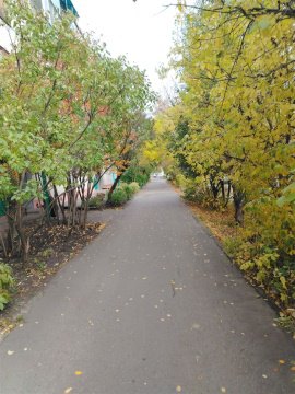 1-к квартира, 5/5 эт., 29м²